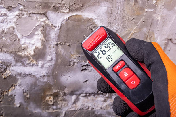Best Commercial Mold Removal  in Stanford, KY