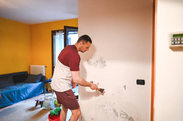 Best Black Mold Removal  in Stanford, KY